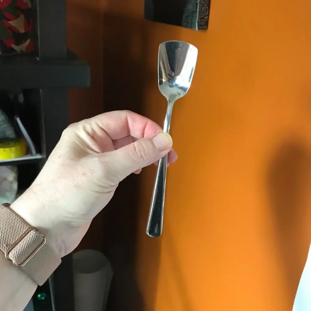 ENDURANCE set of 4 Stainless Steel Ice Cream Spades or Condiment/Sugar Spoons